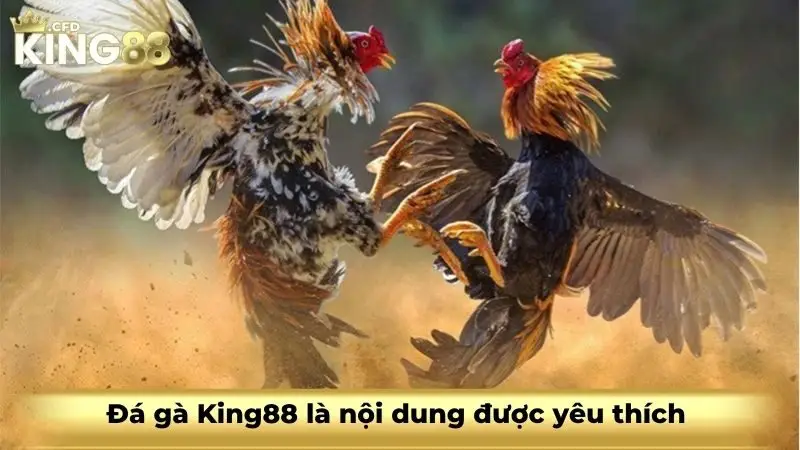 Đá gà King88 là nội dung được yêu thích 